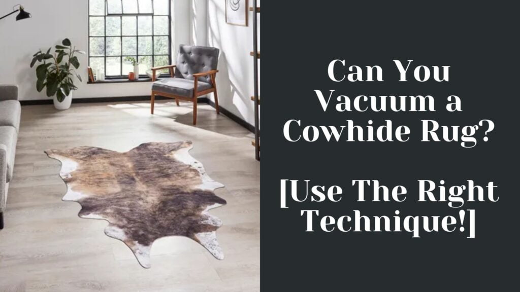 Can You Vacuum a Cowhide Rug? [Use The Right Technique!]